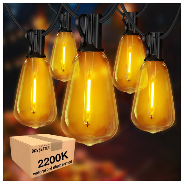 DAYBETTER 100FT（50FTX2) Outdoor String Lights, 24 ST38 Bulbs, 2200K Waterproof